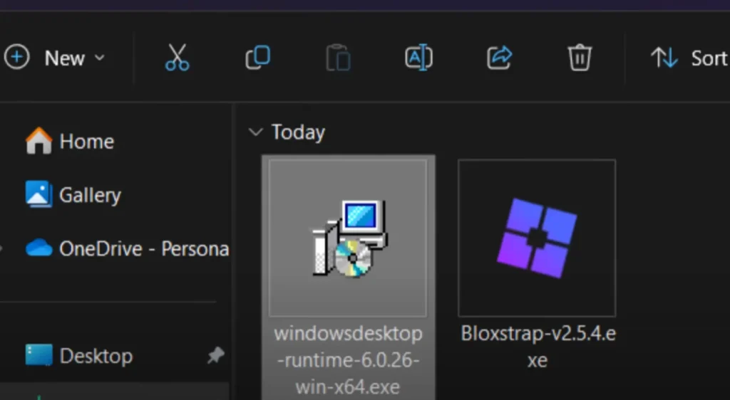 Windows Desktop Runtime.exe install